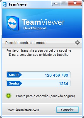 Team Viewer QuickSupport